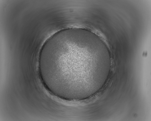 X0000096990012200802151402