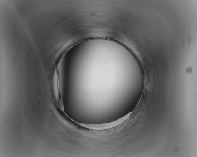 X0000096990013200802151402