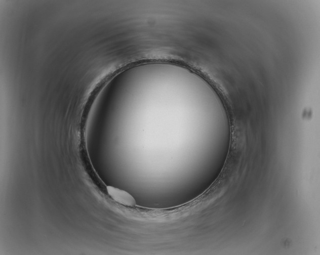 X0000096990015200802151402