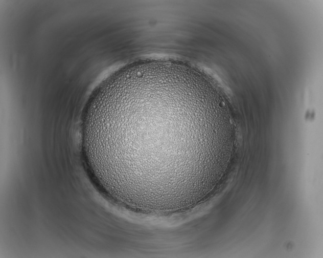 X0000096990016200802151402