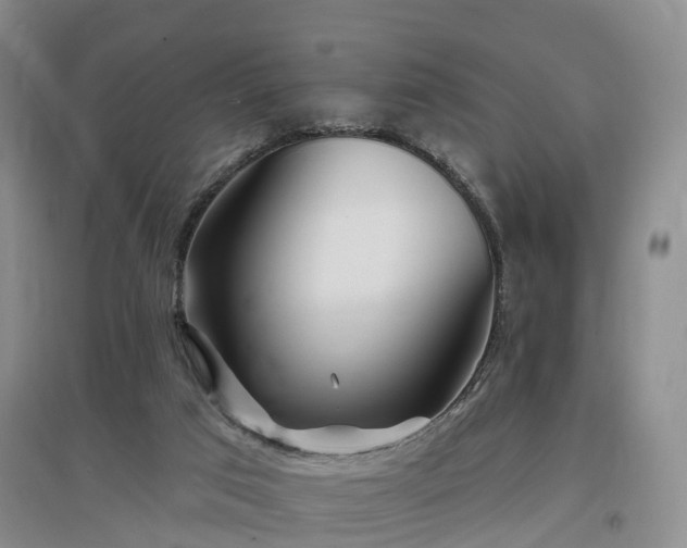 X0000096990017200802151402