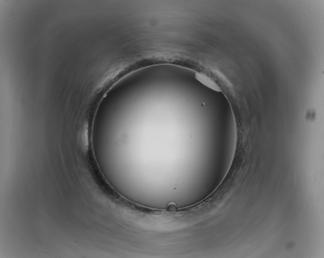 X0000096990020200802151402