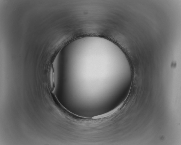 X0000096990021200802151402