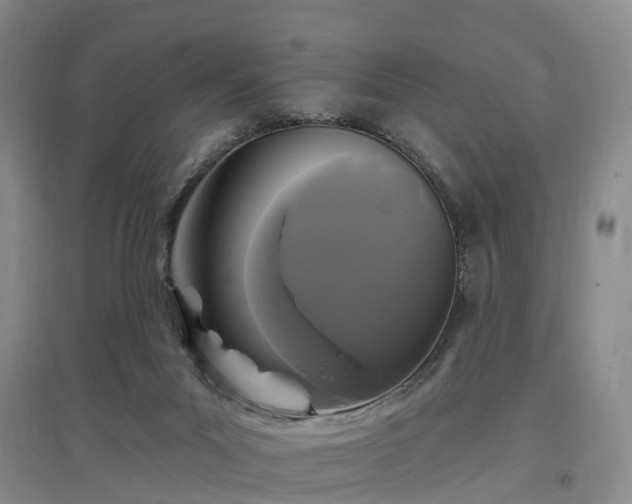 X0000096990023200802151402