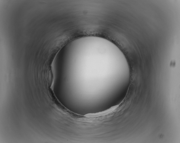 X0000096990025200802151402