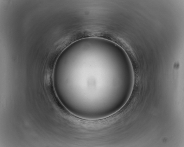 X0000096990026200802151402