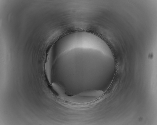 X0000096990027200802151402