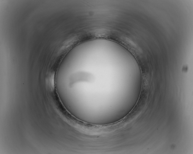 X0000096990028200802151402