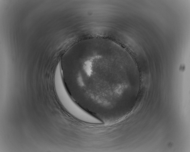 X0000096990029200802151402