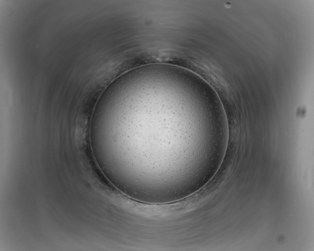 X0000096990030200802151402