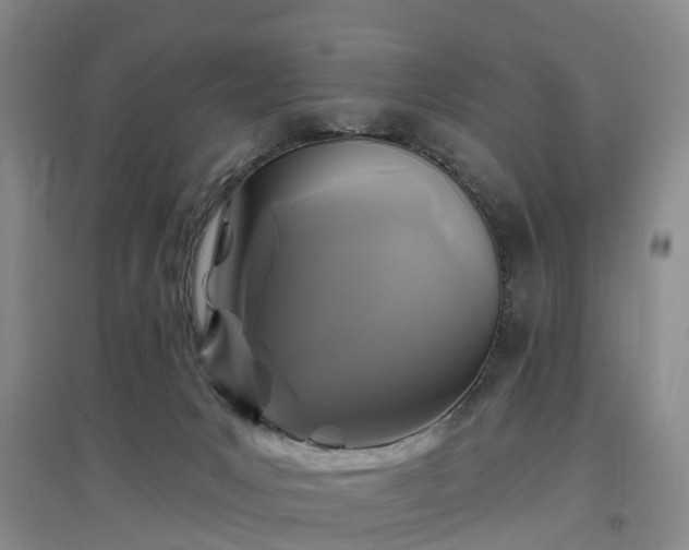 X0000096990031200802151402