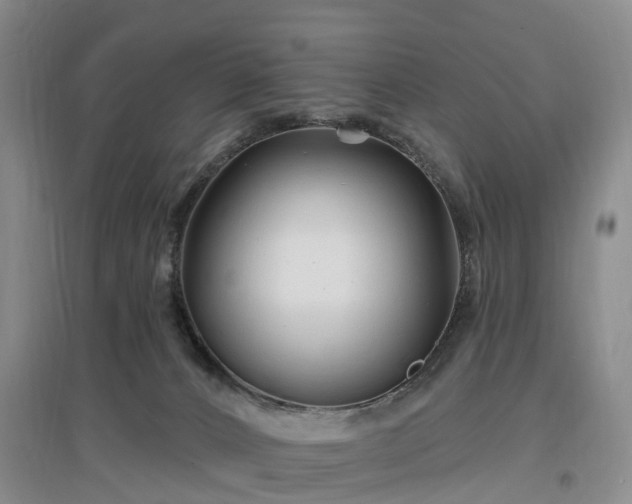 X0000096990032200802151402
