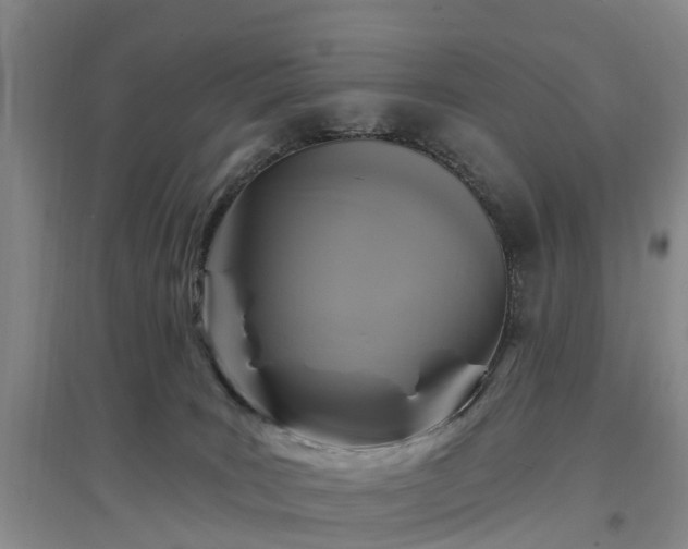 X0000096990035200802151402