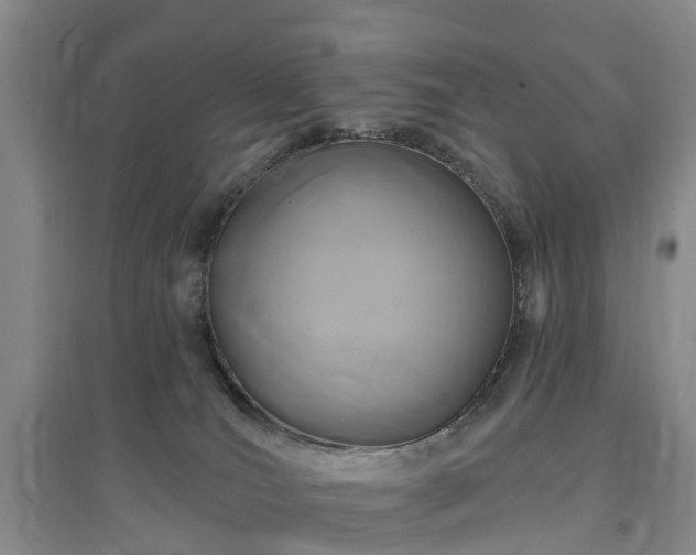 X0000096990036200802151402