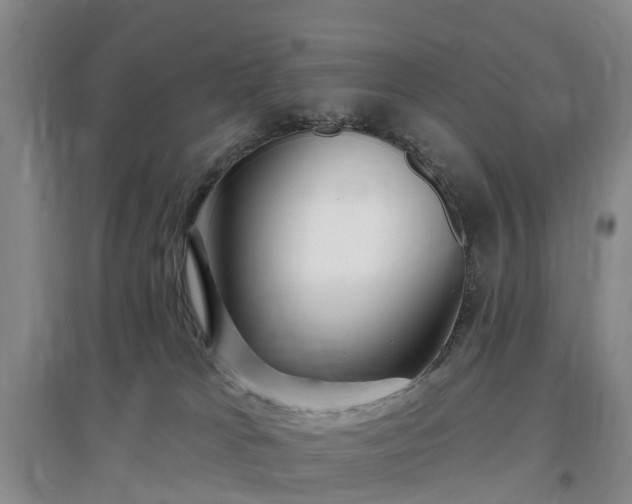X0000096990037200802151402