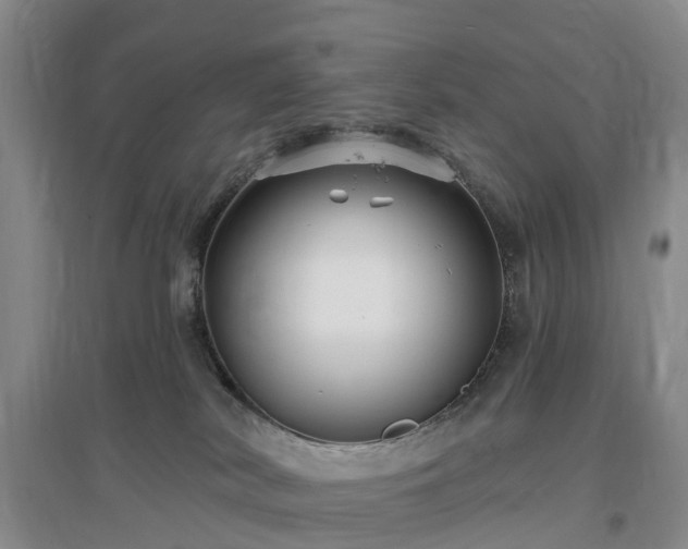 X0000096990038200802151402