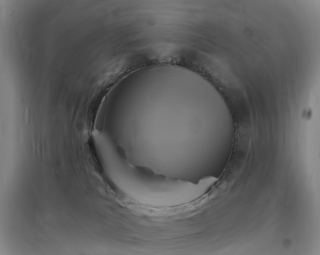 X0000096990039200802151402