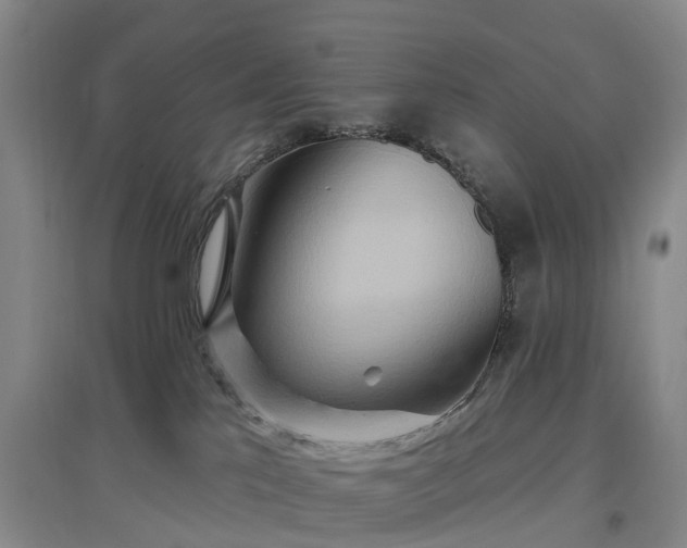 X0000096990041200802151402