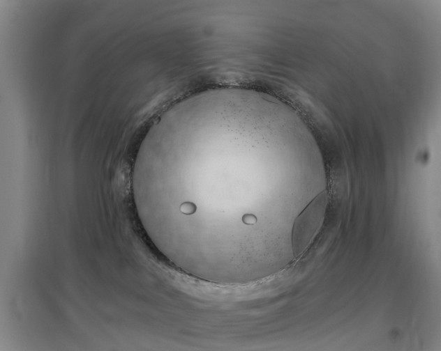 X0000096990043200802151402