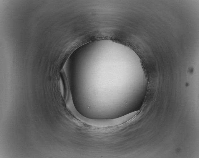 X0000096990045200802151402