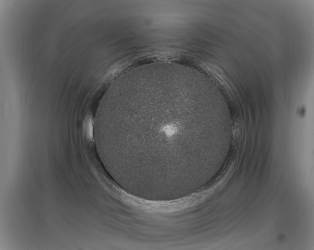 X0000096990046200802151402