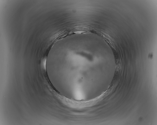 X0000096990047200802151402