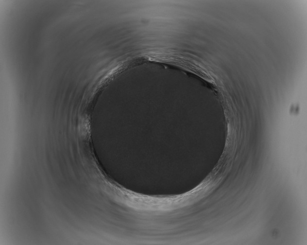 X0000096990048200802151402