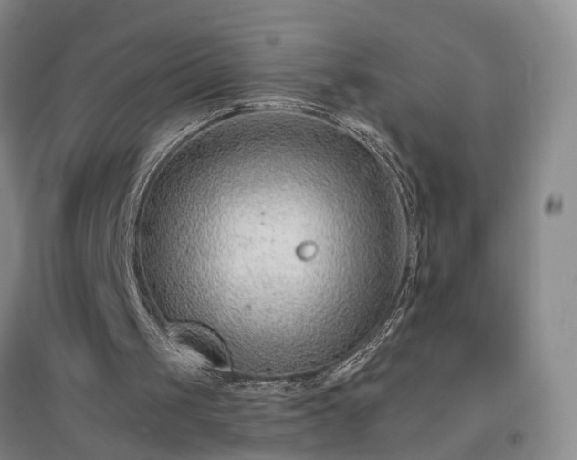 X0000096990049200802151401
