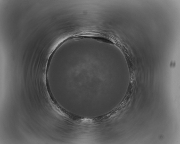 X0000096990052200802151401
