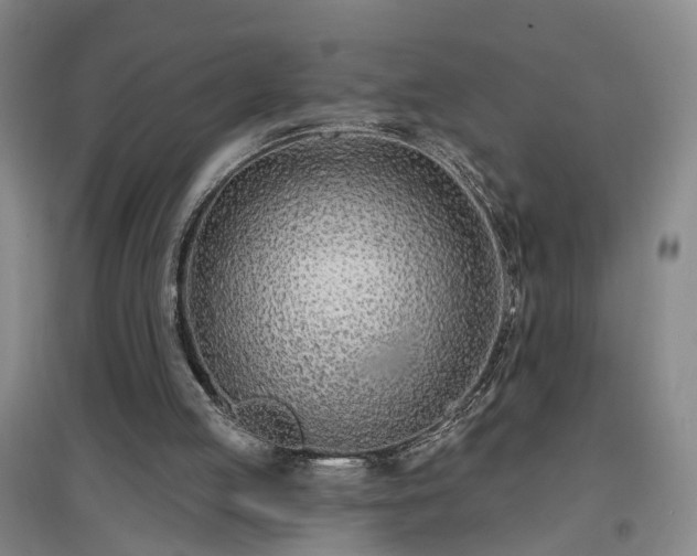X0000096990053200802151401