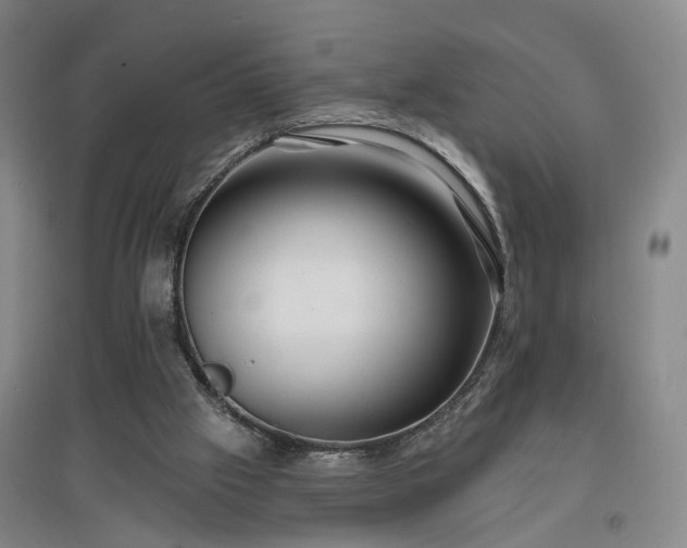 X0000096990057200802151401