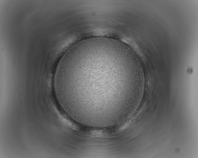 X0000096990066200802151401