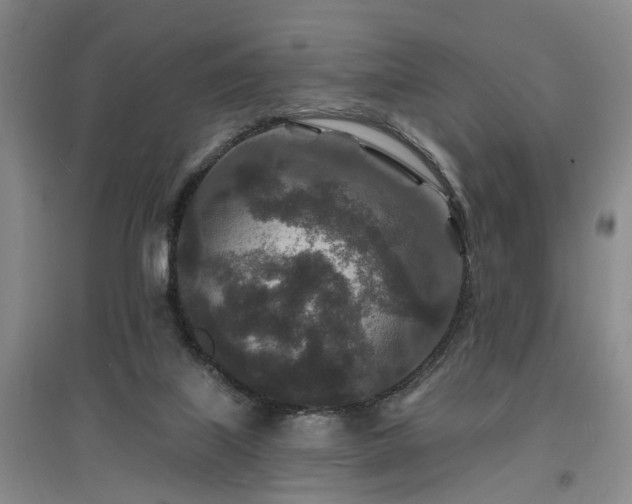 X0000096990067200802151401