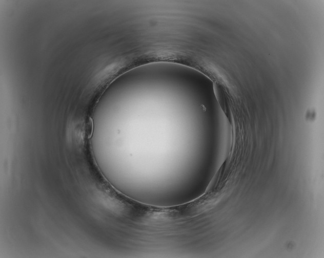 X0000096990072200802151401