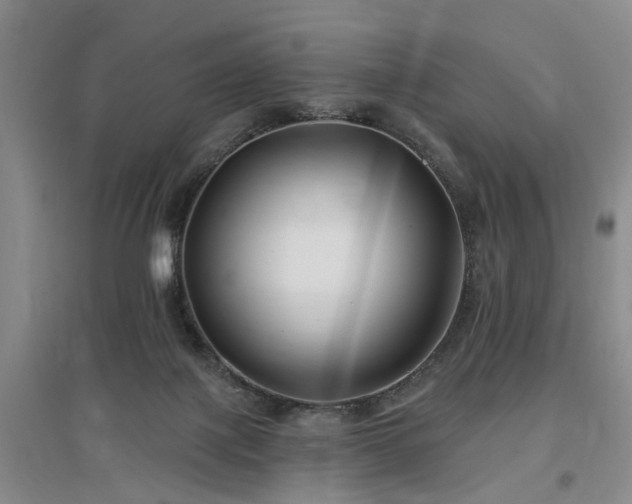 X0000096990075200802151401