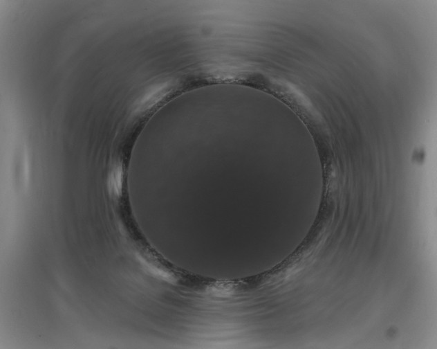 X0000096990076200802151401