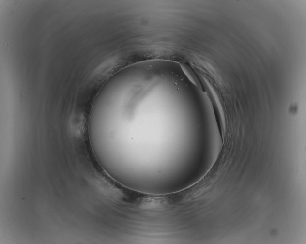 X0000096990077200802151401
