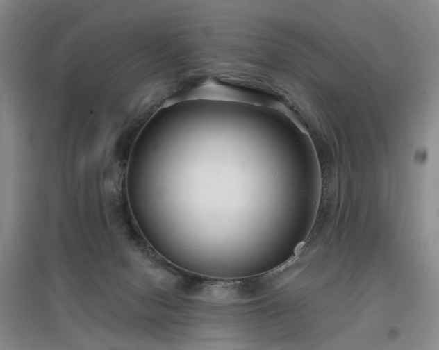X0000096990078200802151401