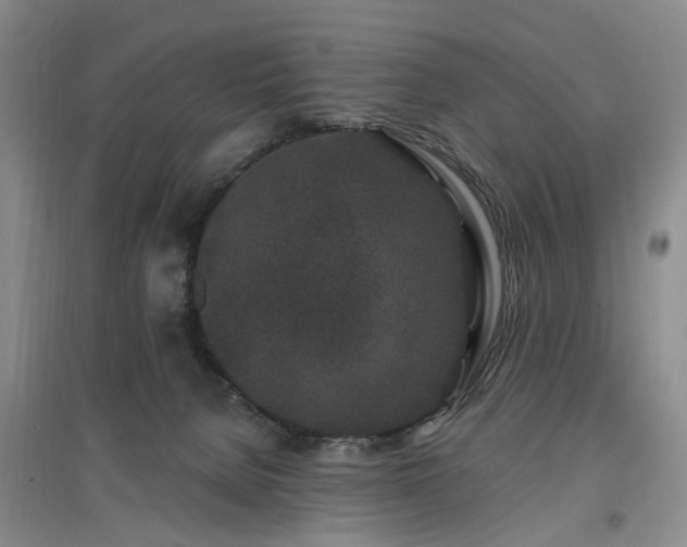 X0000096990080200802151401