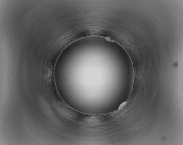 X0000096990082200802151401
