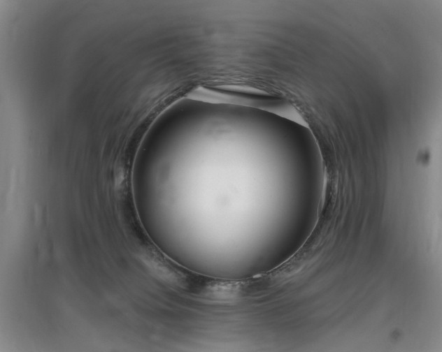 X0000096990084200802151401