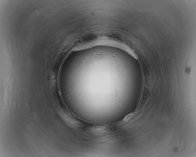 X0000096990086200802151401