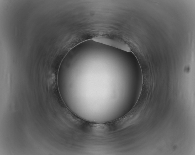X0000096990087200802151401