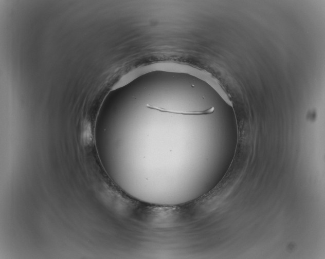 X0000096990089200802151402