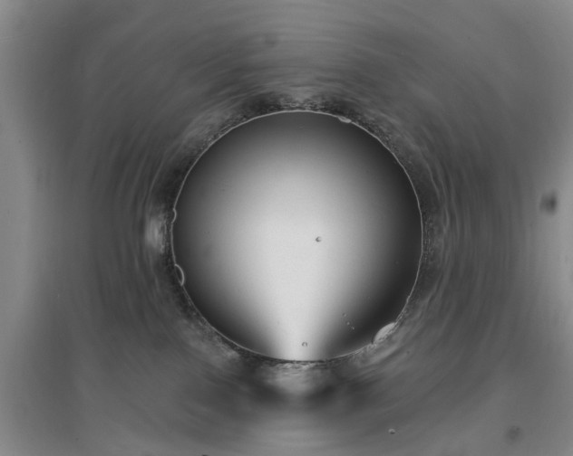 X0000096990090200802151402