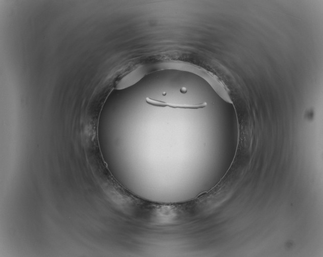 X0000096990091200802151402