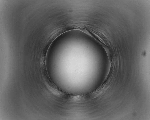 X0000096990092200802151402