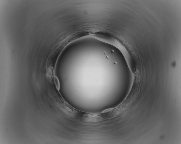 X0000096990093200802151402