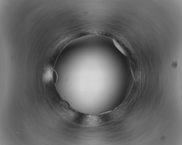 X0000096990095200802151402