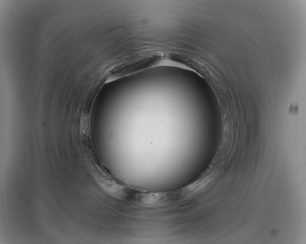 X0000096990096200802151402